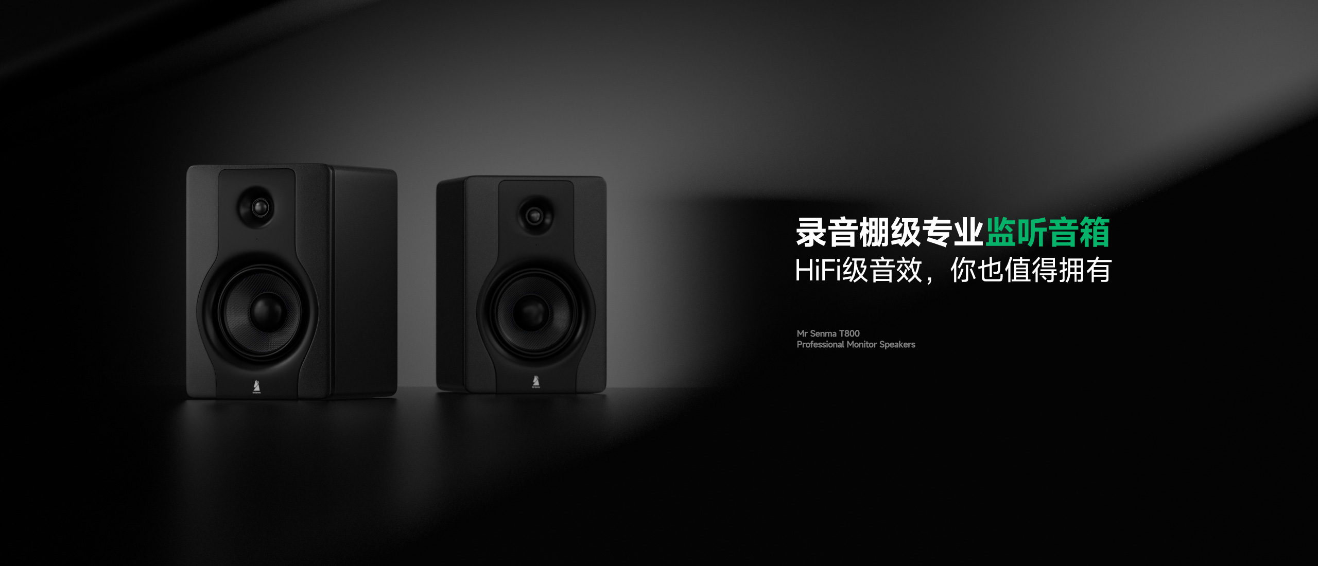 专业有缘监听音箱